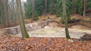 Budováním tůní podporují lázeňské lesy ochranu přírody