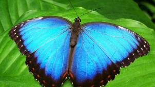 Další projekt z Karlovarského kraje bude podpořen