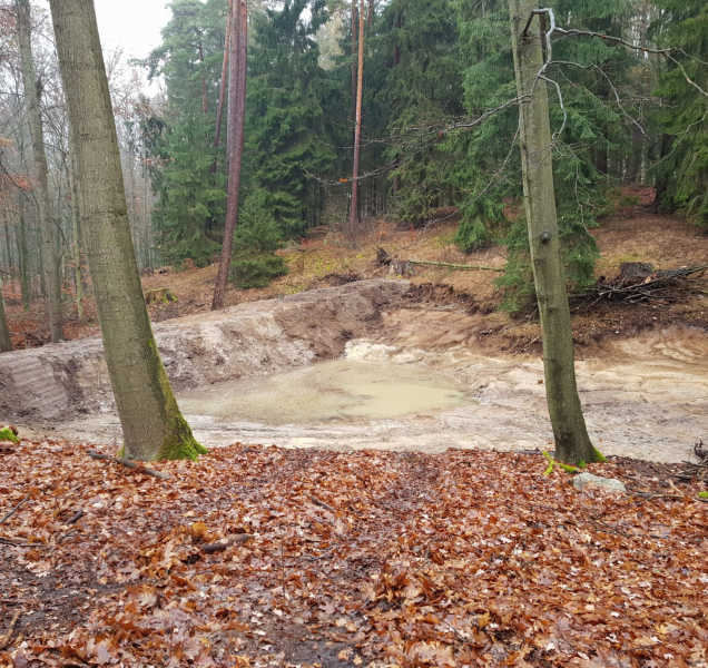 Budováním tůní podporují lázeňské lesy ochranu přírody