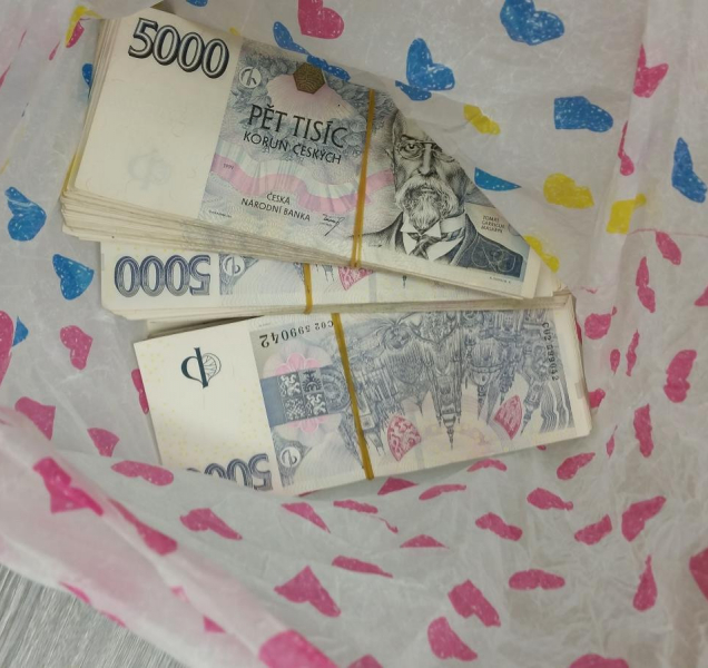 Policisté zasahovali proti skupině zkracovačů daní