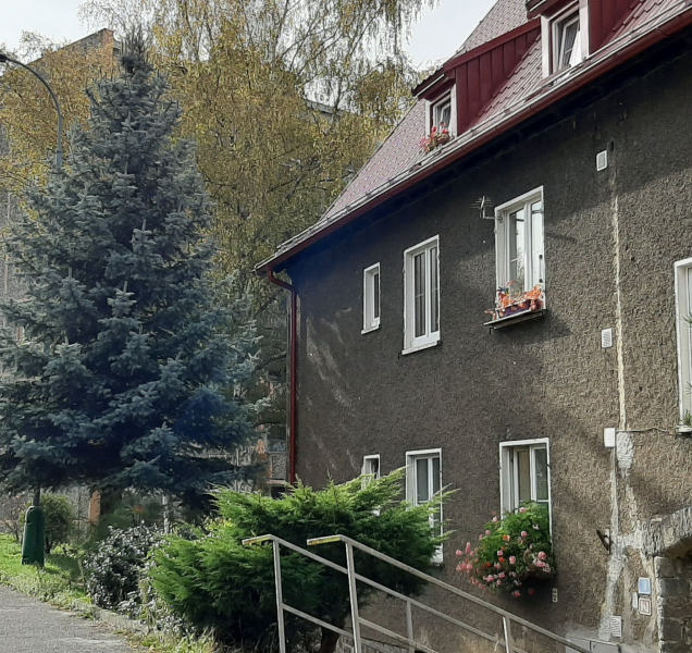 Ve Varech se kácí strom pro vánoční trhy