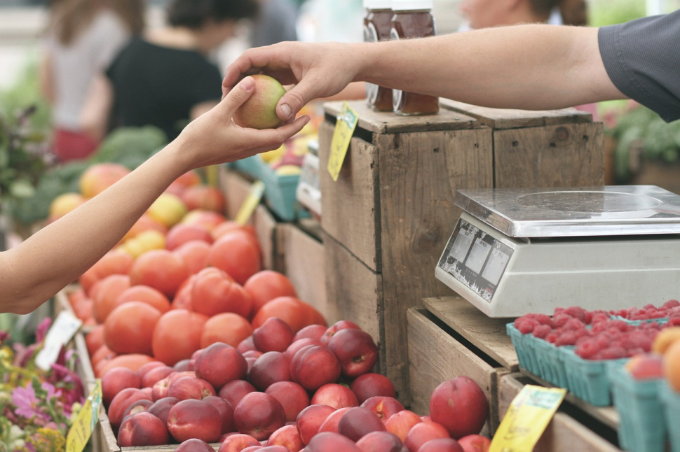 Čerstvé ovoce i med na pátečních farmářských trzích